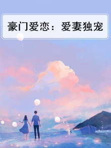 豪门爱恋:爱妻独宠小说