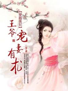 王爷宠穿越医妃的小说