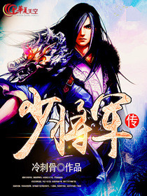 少将军传