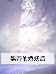 黑帝的私宠
