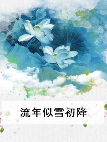 流年似你