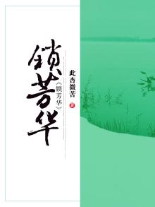 锁芳华梦