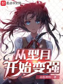 从型月开始的英雄历程
