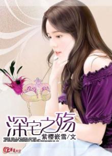 电视连续剧深宅怨