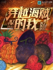 穿越海贼的我对铁块迷之自信小说