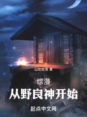 穿越到野良神