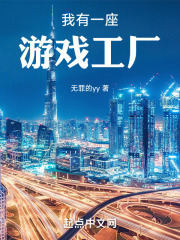 我有一座游乐场 小说