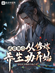 武道技能点
