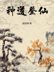 种道登仙免费