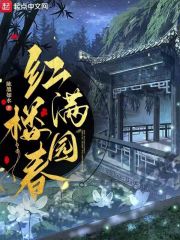 红楼满园春免费阅读