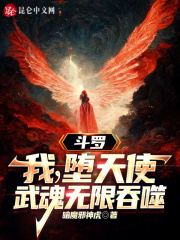 斗罗之我的武魂是天使 小说