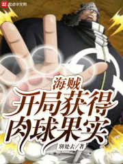海贼之开局夺取吞吞果实小说