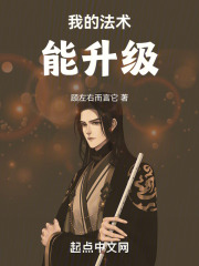 治疗法术升级数据
