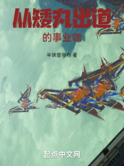 半导小芯