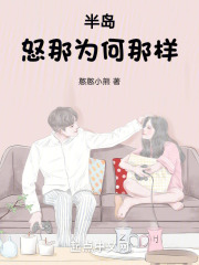 半岛怒那为何那样憨憨小熊
