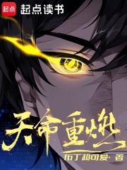 天命重燃txt