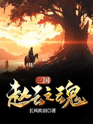 三国赵云名句