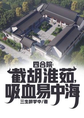 养老四合院图片