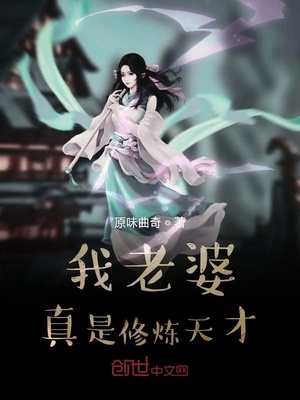 你真是个天才修炼境界