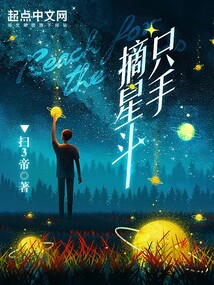 只手摘星斗 小说