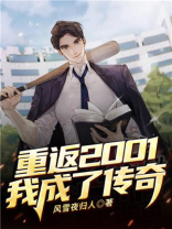 重返2001我成了传奇免费TXT下载