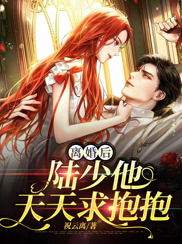 离婚吧陆少