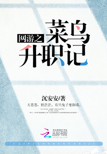网游之菜鸟升职记小说免费阅读全集