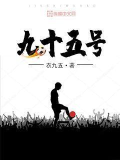 九十五号小说