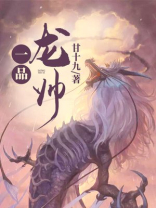 一品龙帅最新章节列表