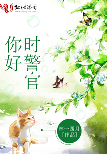 你好,时警官小说