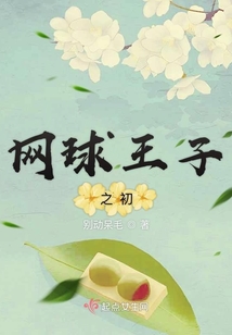 网球王子初到德国