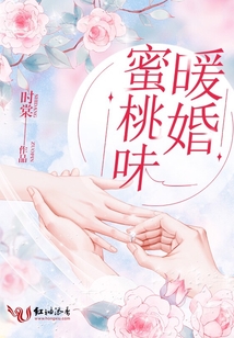 蜜糖味暖婚