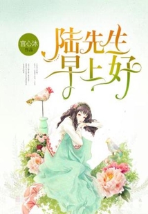 陆先生改造房子全集