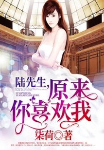 陆先生偏偏喜欢你全文免费阅读