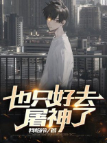 也只好去屠神了小说
