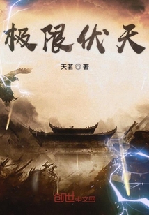 极限伏天TXT电子书下载