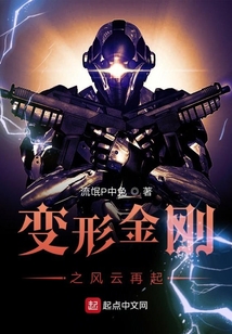 变形金刚之风云再起TXT下载