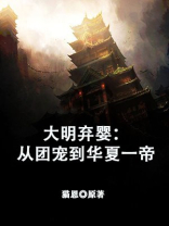 大明弃子小说