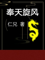 奉天旋风46集全免费观看