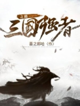 做一个三国的强者