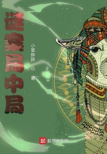 谜案局中局 小说