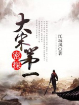 大宋第一密探 小说