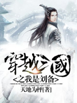 穿越三国我是刘备的养子小说