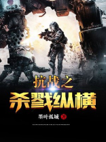 抗战之我的纵横