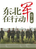 东北军的下场