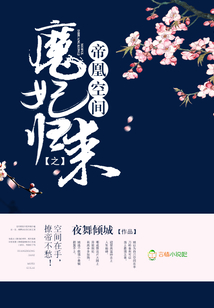 帝凰空间之魔妃归来txt