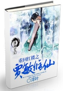 重生红楼贾敏归来