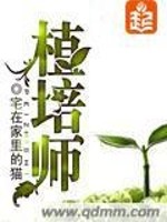 植培师小说七百多章