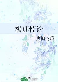 极速悖论电视剧免费观看完整版