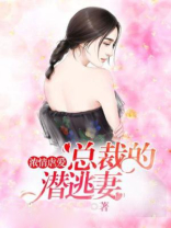 《总裁的逃妻》